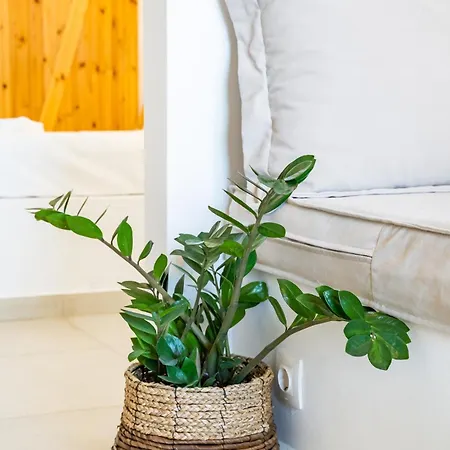 Sea View Deluxe Apartment