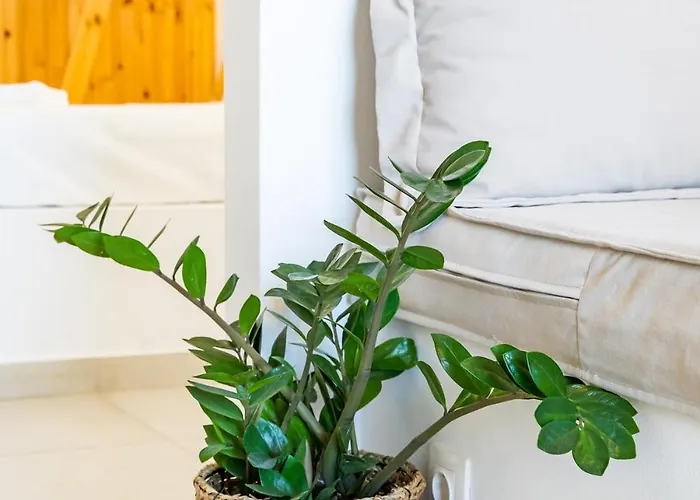 Sea View Deluxe Lägenhet